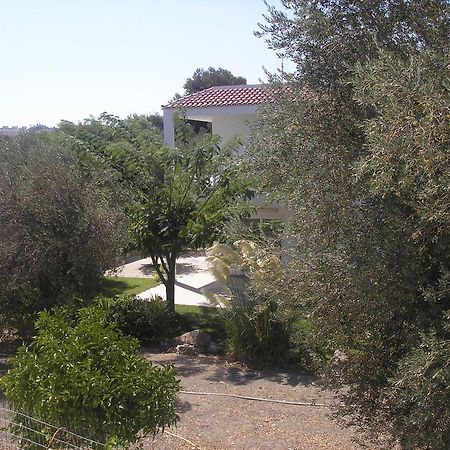 Nephele Apartments Faliraki Bagian luar foto