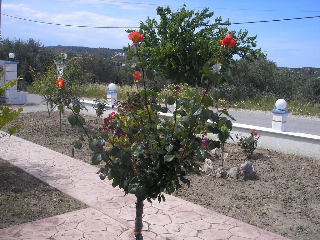Nephele Apartments Faliraki Bagian luar foto