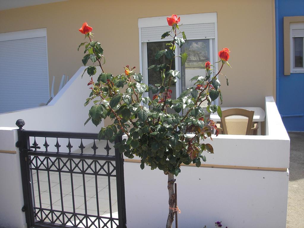 Nephele Apartments Faliraki Bagian luar foto