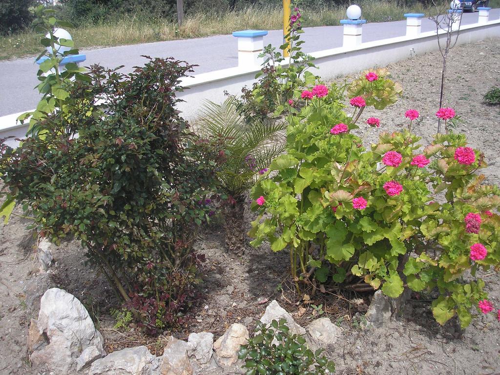 Nephele Apartments Faliraki Bagian luar foto