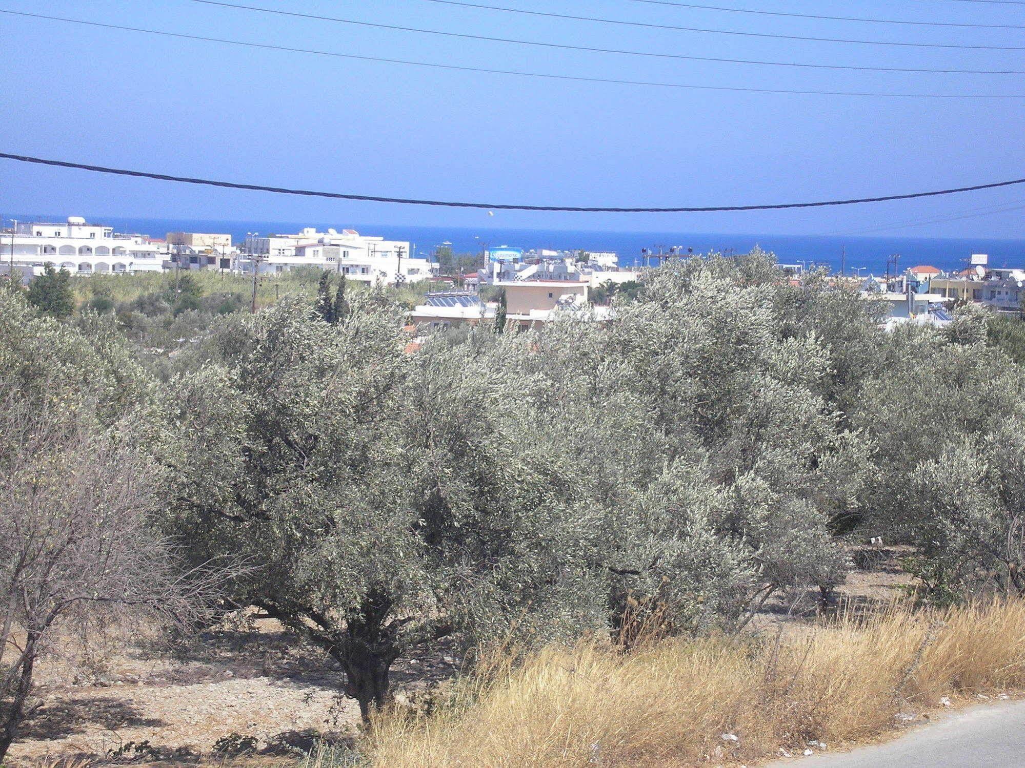 Nephele Apartments Faliraki Bagian luar foto