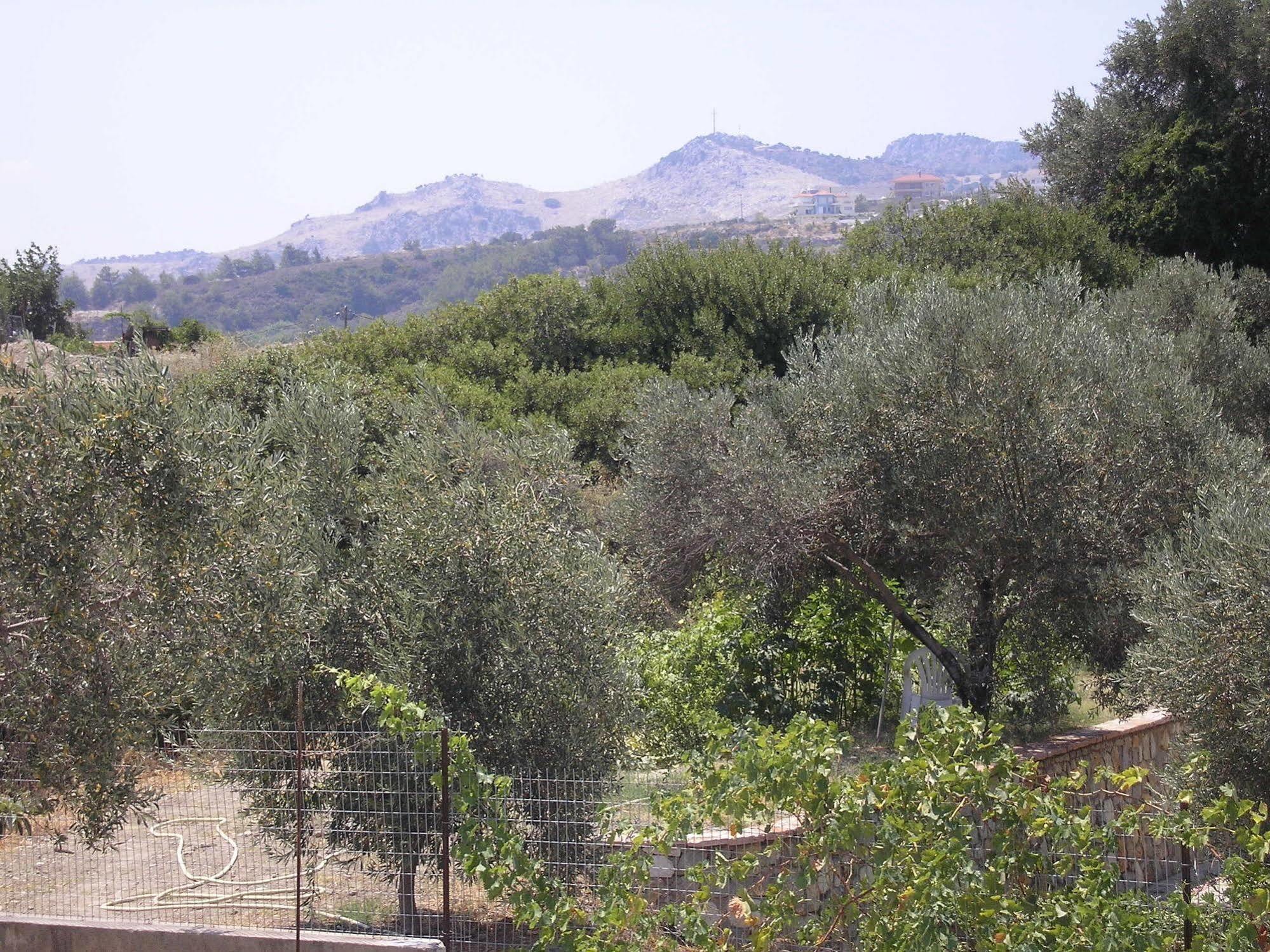 Nephele Apartments Faliraki Bagian luar foto